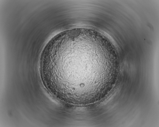 X0000110961043200906261337