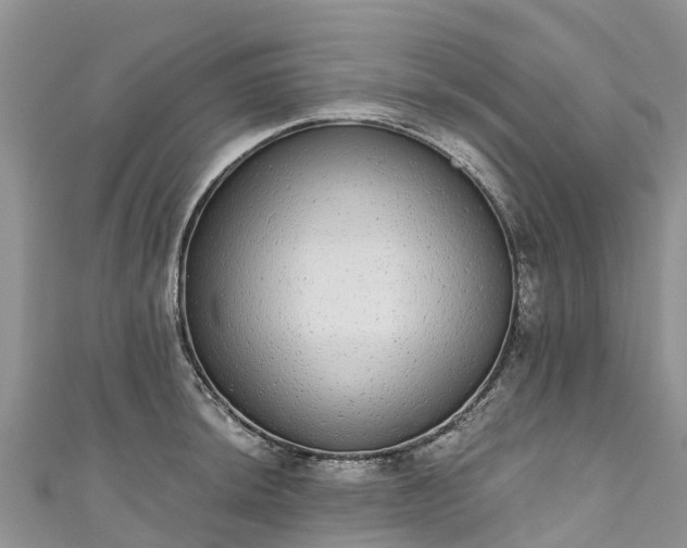 X0000110961044200906261337
