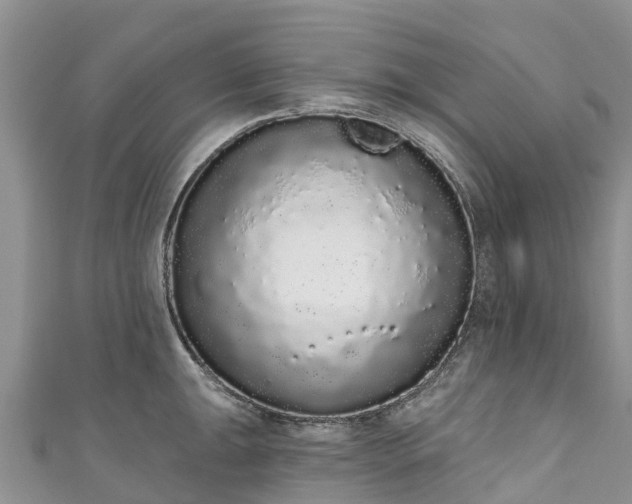 X0000110961047200906261337