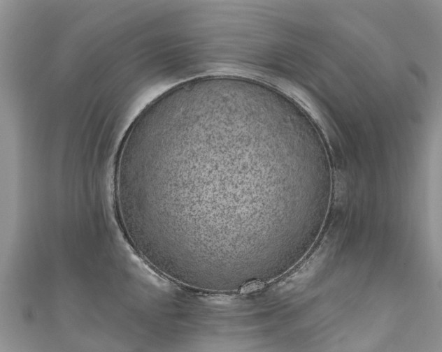 X0000110961048200906261337