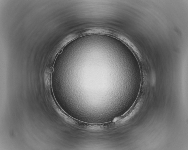 X0000110961049200906261337