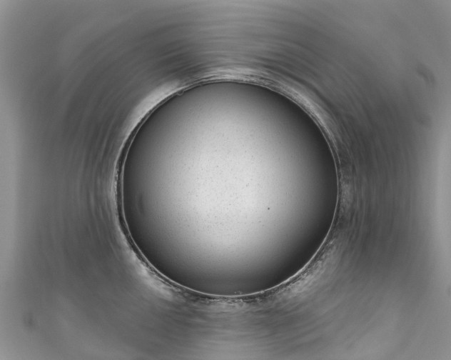 X0000110961050200906261337