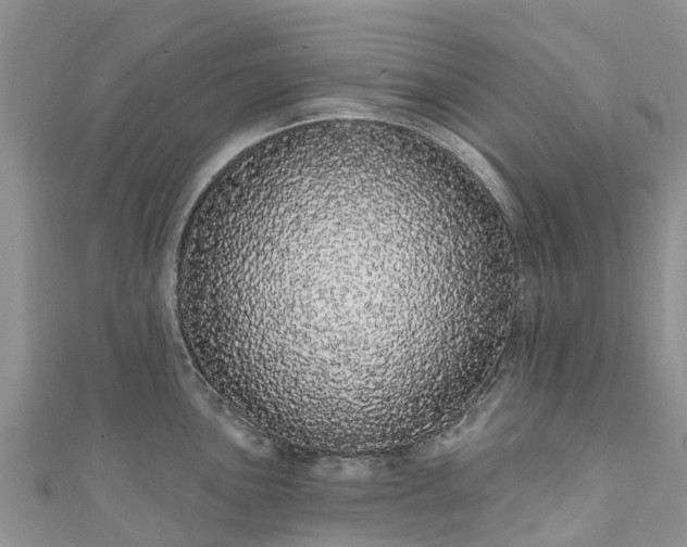 X0000110961051200906261337