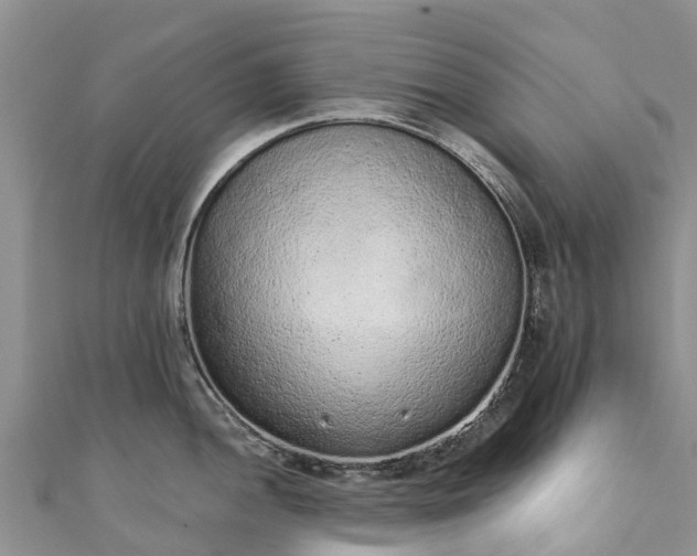 X0000110961052200906261337