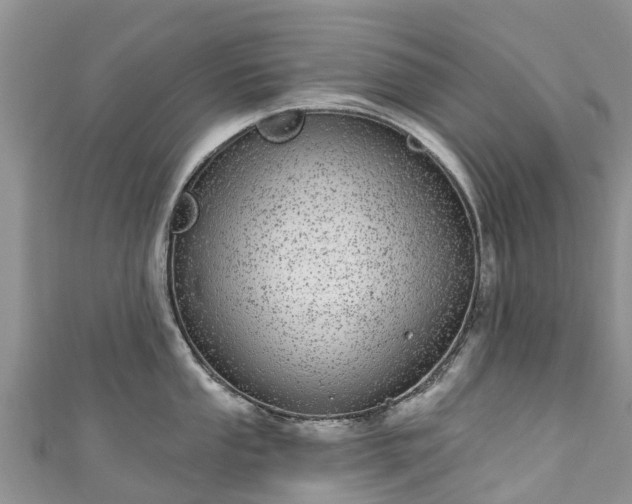 X0000110961053200906261337