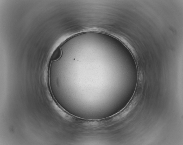X0000110961054200906261337