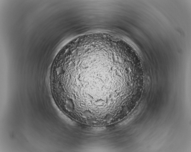 X0000110961055200906261337