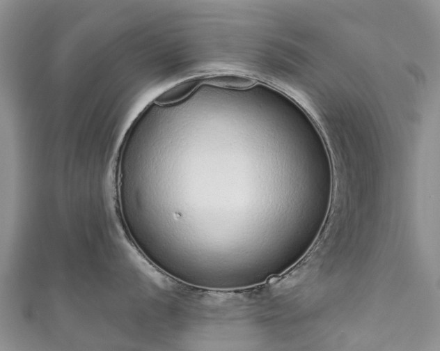 X0000110961056200906261337