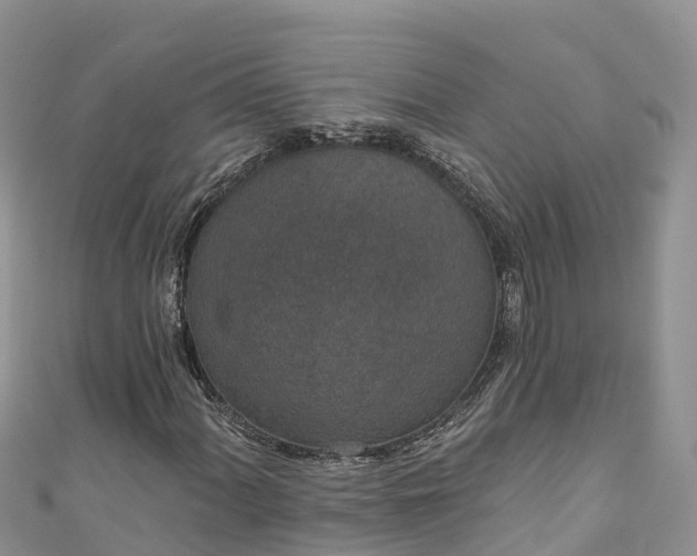 X0000110961060200906261337