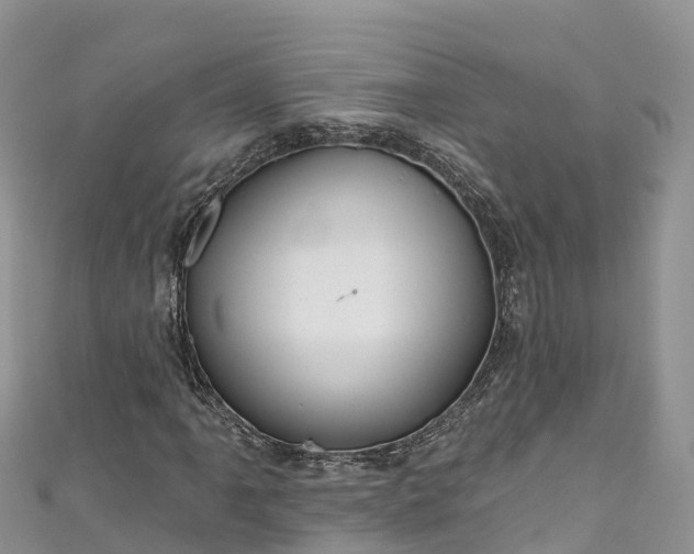 X0000110961061200906261337
