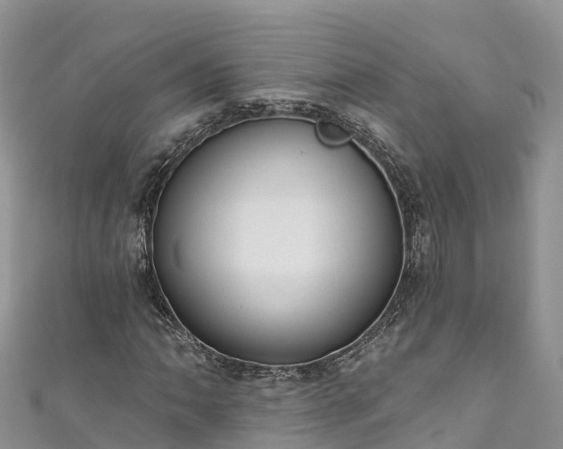 X0000110961062200906261337