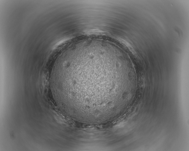 X0000110961063200906261337
