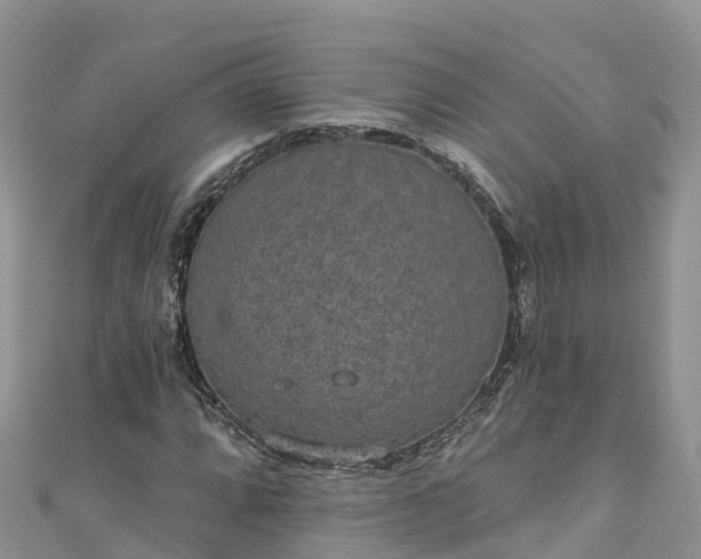 X0000110961064200906261337