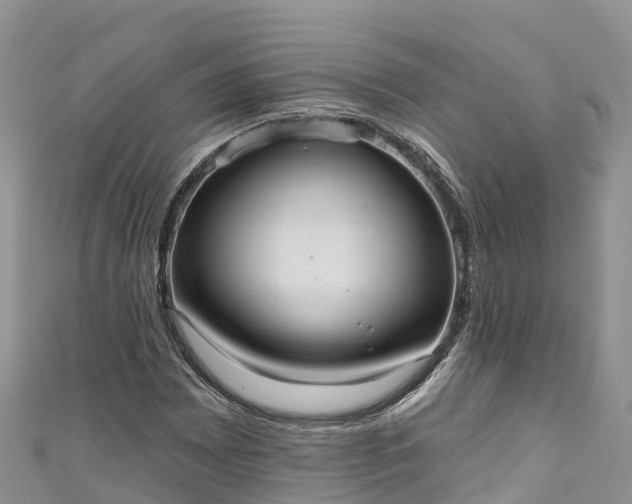 X0000110961065200906261337