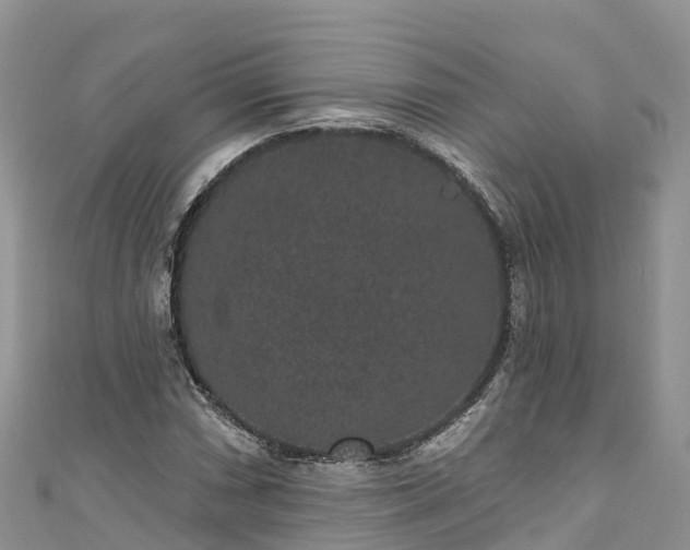 X0000110961066200906261337