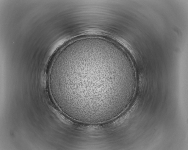 X0000110961067200906261337