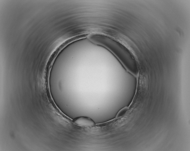 X0000110961068200906261337