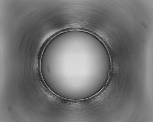 X0000110961070200906261337