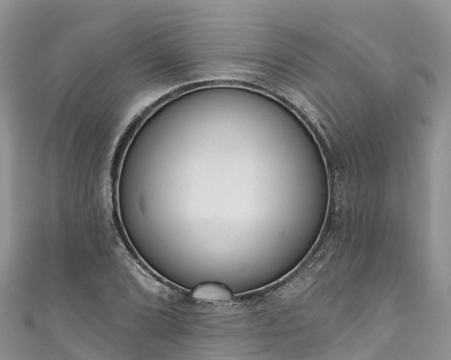 X0000110961072200906261337