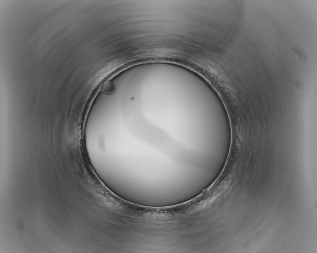 X0000110961073200906261337