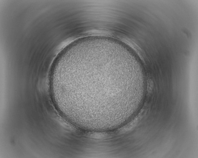 X0000110961074200906261337