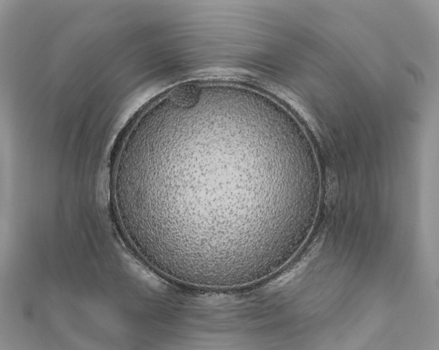 X0000110961075200906261337