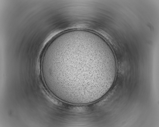 X0000110961078200906261337