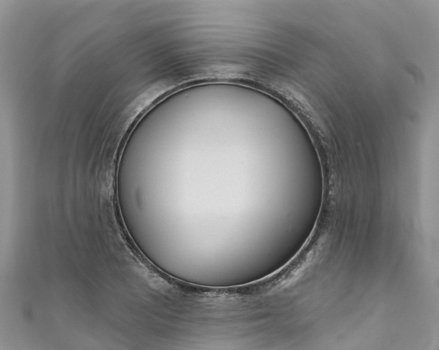 X0000110961081200906261336