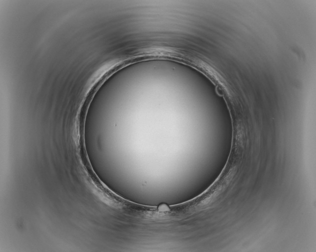 X0000110961082200906261336