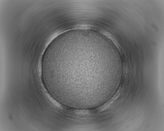 X0000110961083200906261336