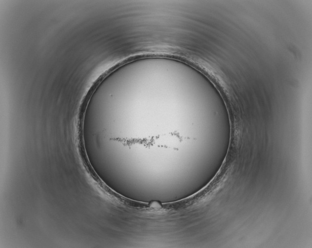 X0000110961085200906261336