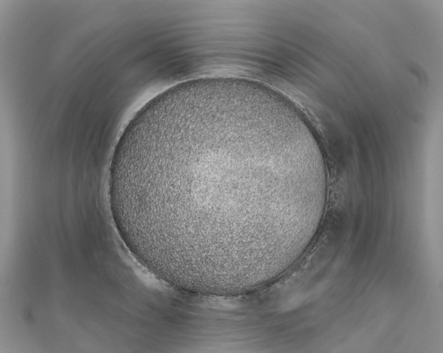 X0000110961086200906261336