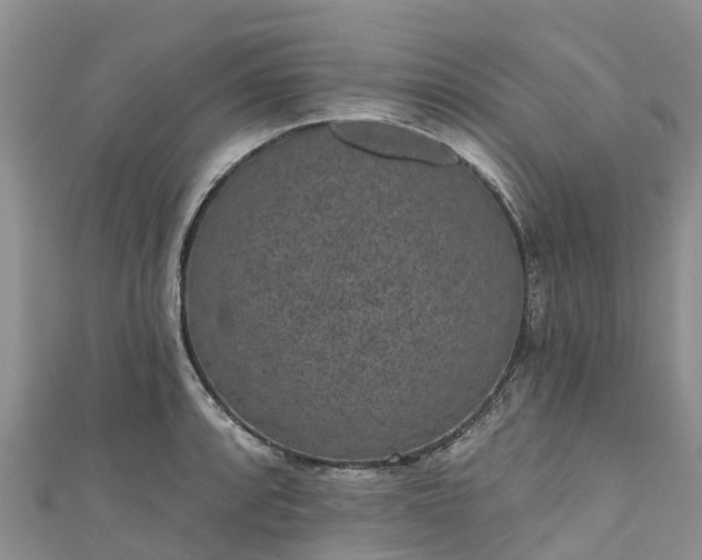 X0000110961088200906261336