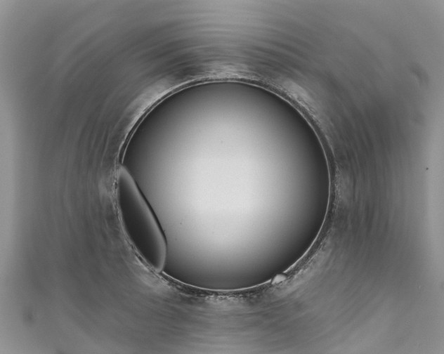 X0000110961089200906261336