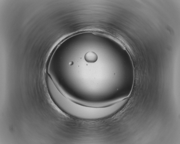 X0000110961092200906261336
