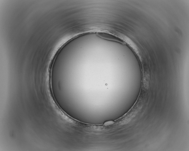 X0000110961096200906261336