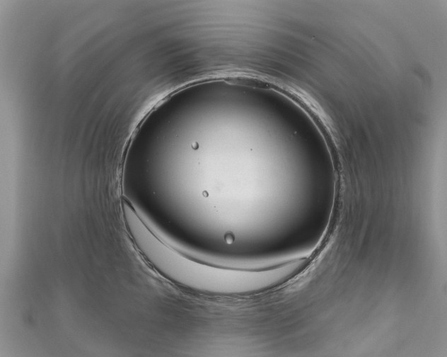 X0000110961097200906261336
