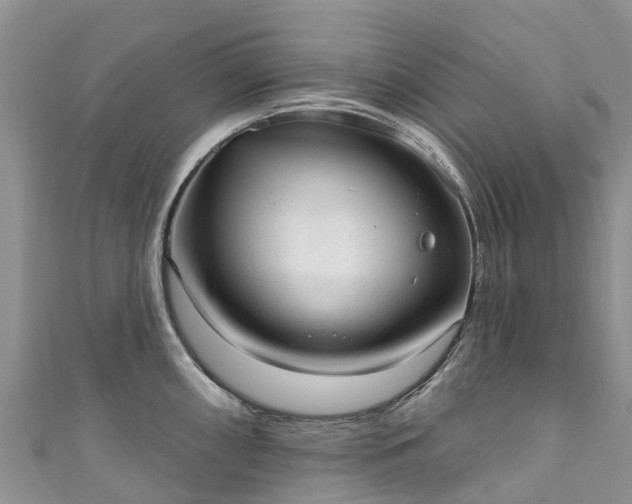 X0000110961098200906261336