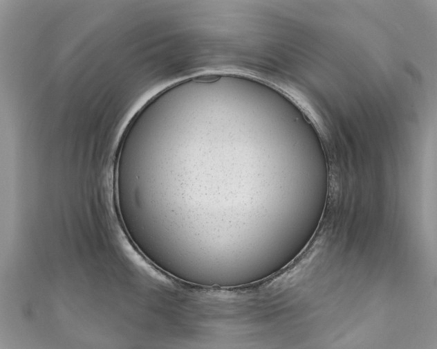 X0000110961100200906261336