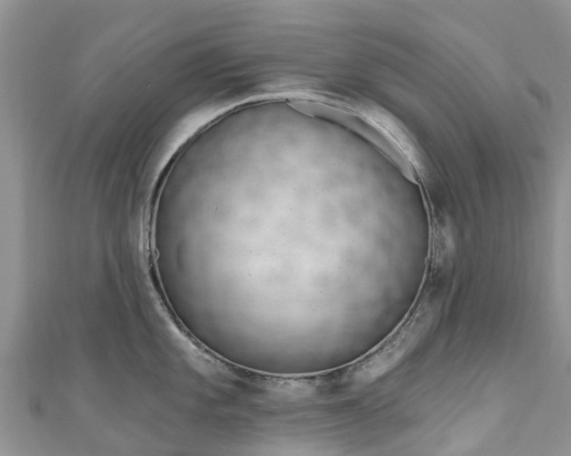 X0000110961101200906261336