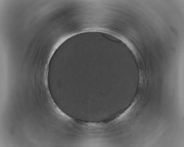 X0000110961102200906261336