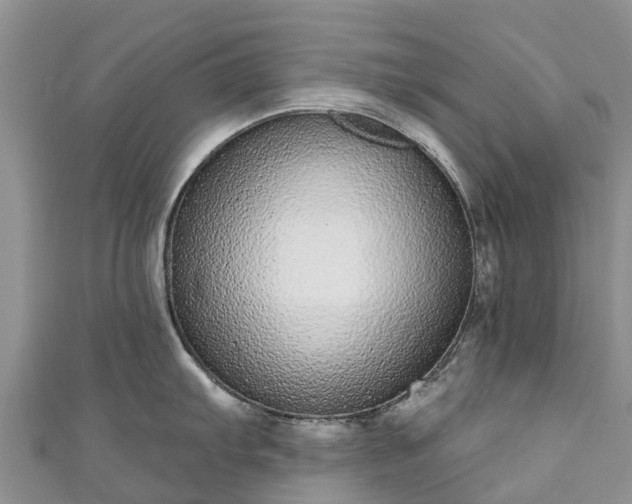 X0000110961103200906261336