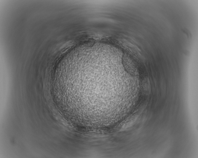 X0000110961105200906261335