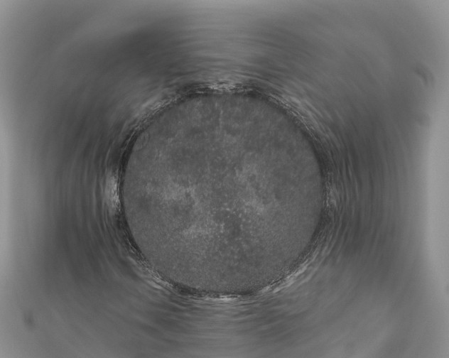 X0000110961106200906261335