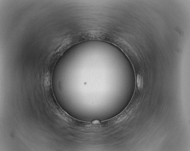 X0000110961107200906261335
