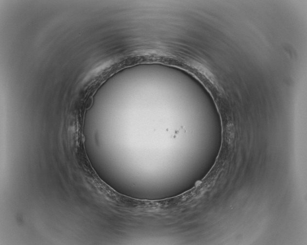 X0000110961111200906261335