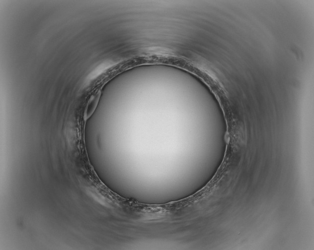 X0000110961112200906261335