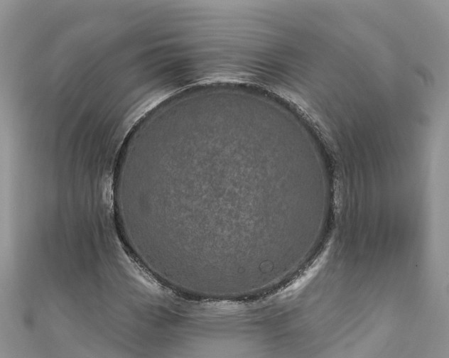 X0000110961113200906261335