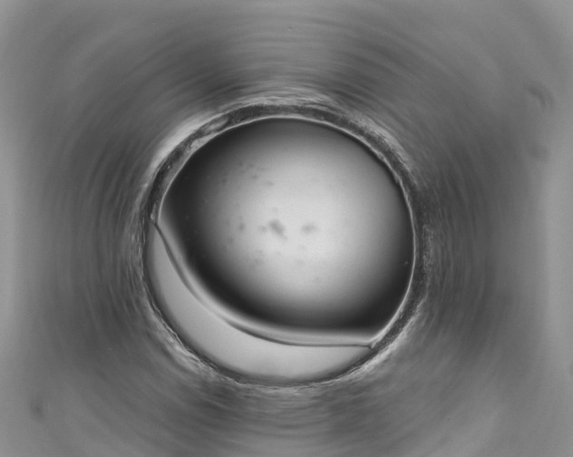 X0000110961114200906261336
