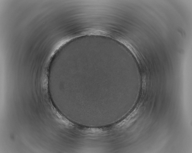 X0000110961115200906261336